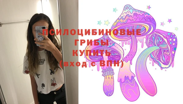 сатива Михайлов
