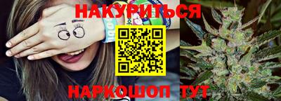 прущие крисы Аргун