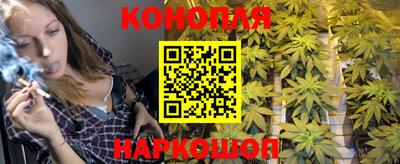 шишки Абинск