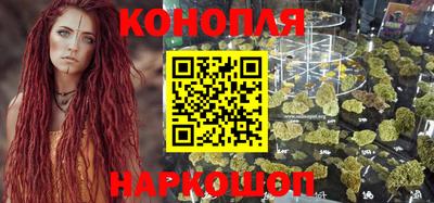 прущие крисы Аргун