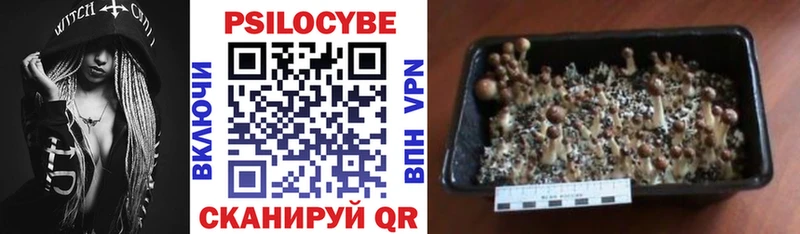 Галлюциногенные грибы GOLDEN TEACHER  купить  сайты  Апрелевка 