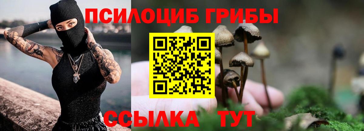 Псилоцибиновые грибы мицелий  закладка  Апрелевка 